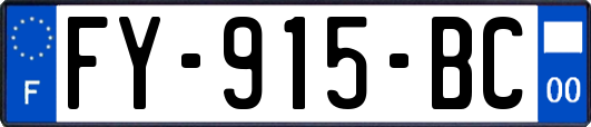 FY-915-BC