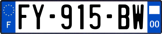 FY-915-BW