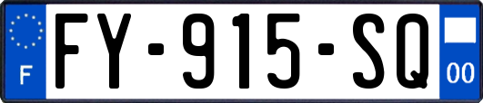 FY-915-SQ