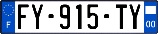 FY-915-TY