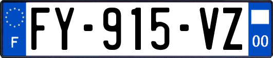 FY-915-VZ