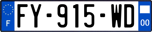FY-915-WD