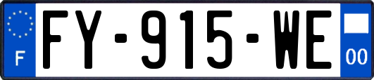 FY-915-WE
