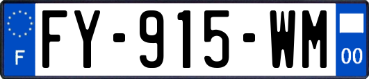 FY-915-WM