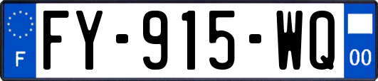 FY-915-WQ