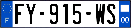 FY-915-WS
