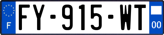 FY-915-WT
