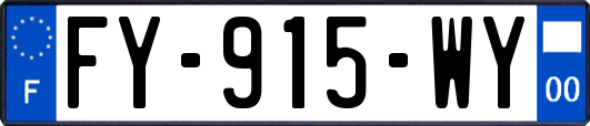 FY-915-WY