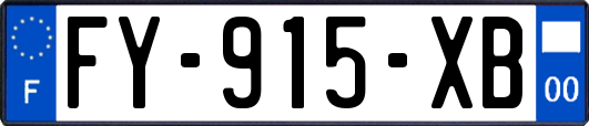 FY-915-XB