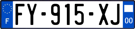 FY-915-XJ