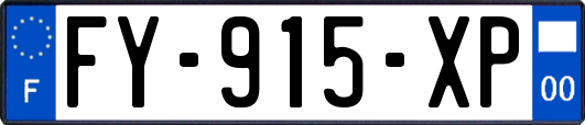 FY-915-XP