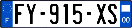 FY-915-XS