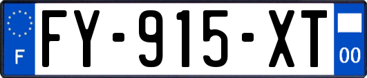 FY-915-XT