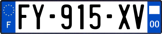 FY-915-XV