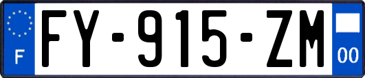 FY-915-ZM