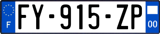FY-915-ZP