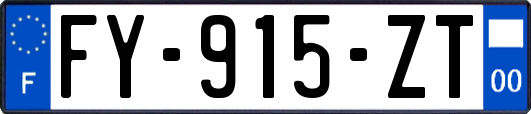 FY-915-ZT