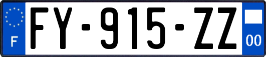 FY-915-ZZ