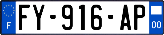 FY-916-AP