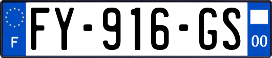 FY-916-GS