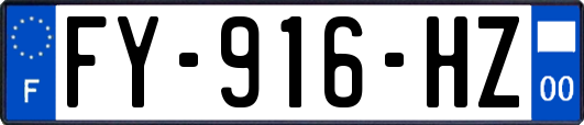 FY-916-HZ