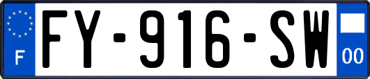 FY-916-SW