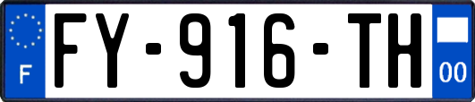 FY-916-TH
