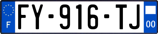 FY-916-TJ