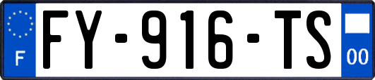 FY-916-TS