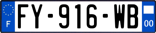 FY-916-WB