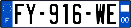 FY-916-WE