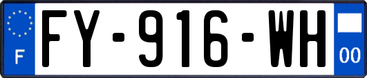 FY-916-WH