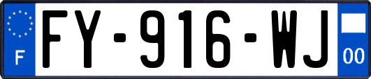 FY-916-WJ
