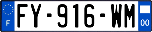 FY-916-WM