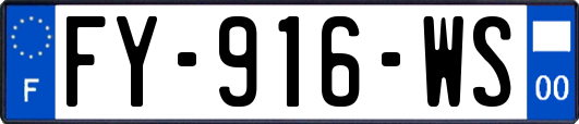 FY-916-WS