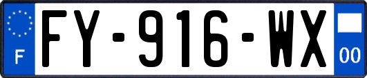 FY-916-WX