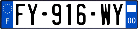 FY-916-WY