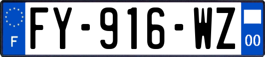 FY-916-WZ