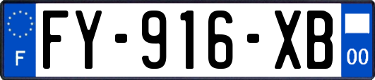 FY-916-XB