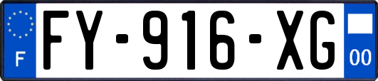 FY-916-XG