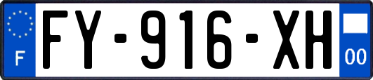 FY-916-XH