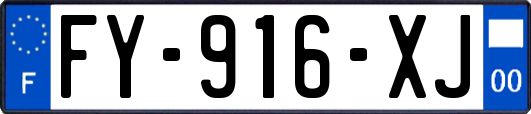 FY-916-XJ
