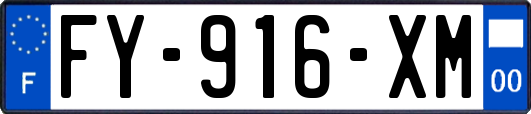 FY-916-XM