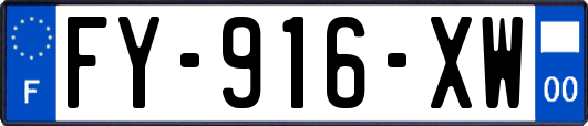 FY-916-XW