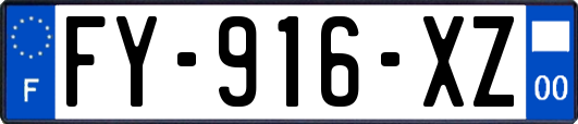 FY-916-XZ