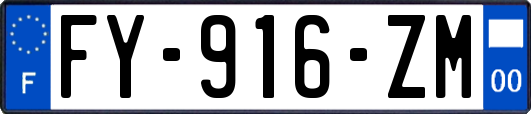 FY-916-ZM