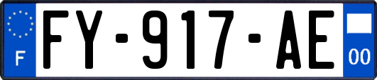 FY-917-AE
