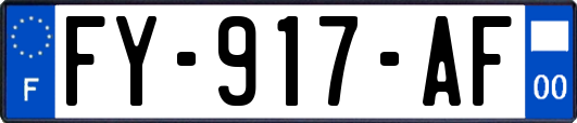 FY-917-AF