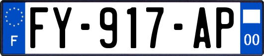 FY-917-AP