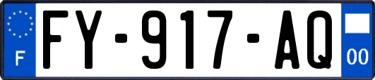 FY-917-AQ